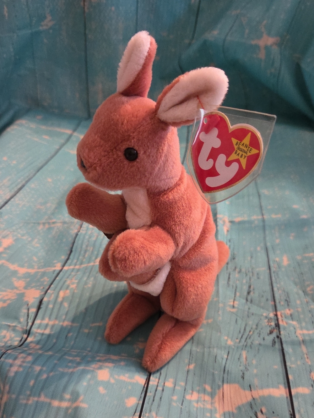 Ty Pouch Beanie Baby
